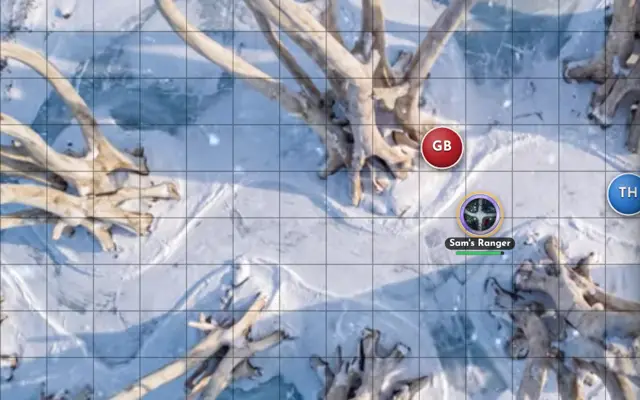 A map in the player with tokens, fog and dice